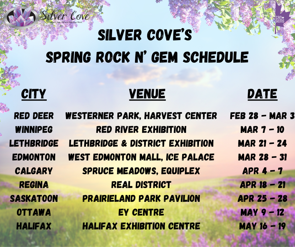 Edmonton Rock N' Gem Show